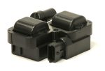 Котушка запалювання Ман Ліон Man Lion S City, NG313 NL243 NL313, (1996-...)