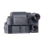 Котушка запалювання Ман Ліон Man Lion S City, NG313 NL243 NL313, (1996-...)
